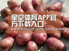 产品展示标题5