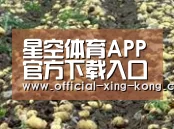种植基地七