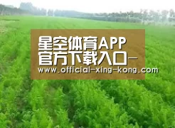 种植基地四