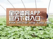 种植基地三