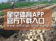 种植基地七(图1)